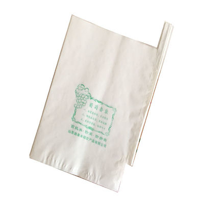 Bolsa de papel de la protección del crecimiento de fruta del mango de la uva que hace la máquina